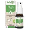 Herbalgem TILLEUL SPRAY BIO 15ML
