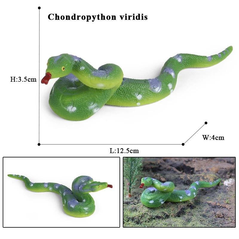 Oenux Simulation Forest Savage Snakes Animals Model Wild Cobra Rattlesnake Python Action Figures Party Favor Decor Kids Toy Gift