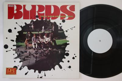 LP-Schallplatte BIRDS - These Birds Are Dangerous / Action KEINE NICHT AUF DEM LABEL Unbekannt Rock Verwendet