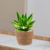 2pcs Rattan Flower Woven Handmade Straw Indoor Plant Storage Basket Home Decor Lightweight Compact Size Seagrass Planter