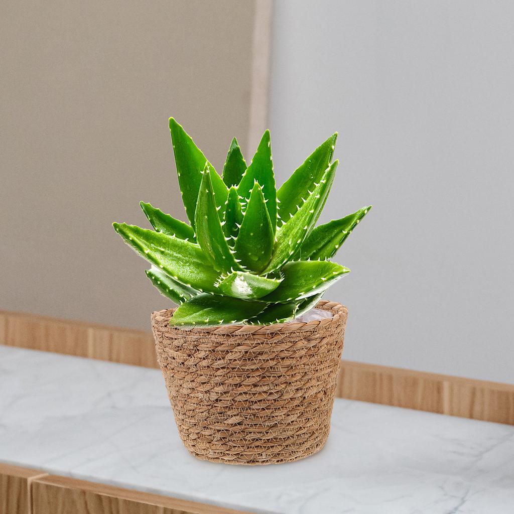2pcs Rattan Flower Woven Handmade Straw Indoor Plant Storage Basket Home Decor Lightweight Compact Size Seagrass Planter