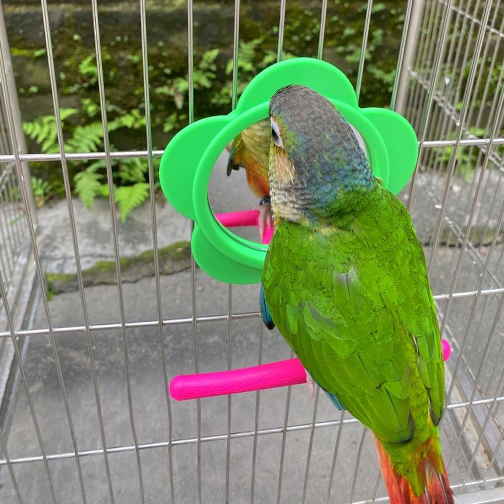 Flower Shape Bird Mirror Perch Plastic Material Colorful Design Bird Cage Mirror Standing Structure Acrylic Material