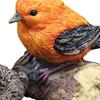 Figurines Miniature Fairy Garden Decoration Bird Animal Model for Party Landscape
