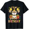 Its My Birthday Otter T-Shirt - Unisex-Adults - Black - Small - Short Sleeve - Birthday-Themed
