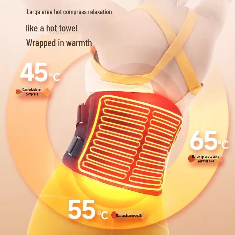 AUX Dual Motor Waist Massager with Heat & LCD Control