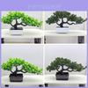 Artificial Pine Tree Bonsai Indoor Decor Plastic Plant For Living Room And Office