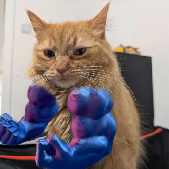 Cat Muscle Arm 3D Printed Funny Cat Neck Arm with Muscles Creative Photo Shoot Props for Cat Birthday Party