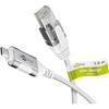 Câble Adaptateur USB-C Vers RJ45 - GOOBAY - CAT 6 - 1 Gbit/s - Design Fin - Compatible Windows/macOS/Android