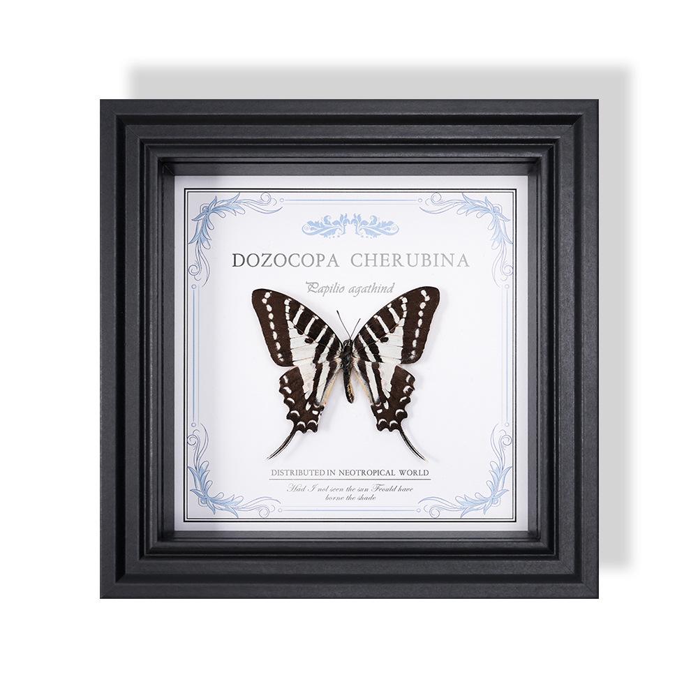 Wall-Mounted Butterfly Specimen Photo Frame: Home Decor & Gift for Valentine's Day, Qixi, Birthday, Couples & Insect Lovers