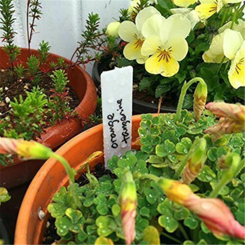 100 Uds etiqueta de planta etiqueta de jardín colgante de plástico impermeable etiquetado marcador de maceta de vivero