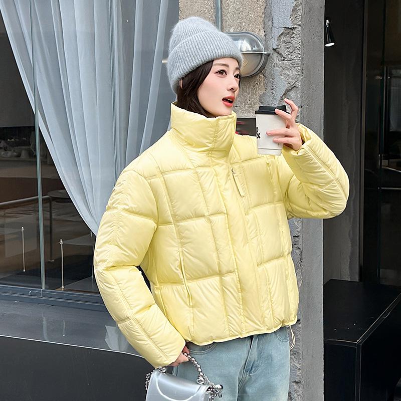 Korean Style Winter Cotton Puffer Jacket for Women - 2026 Collection, Loose Fit, Thickened, Stand Collar, Warm Outerwear.