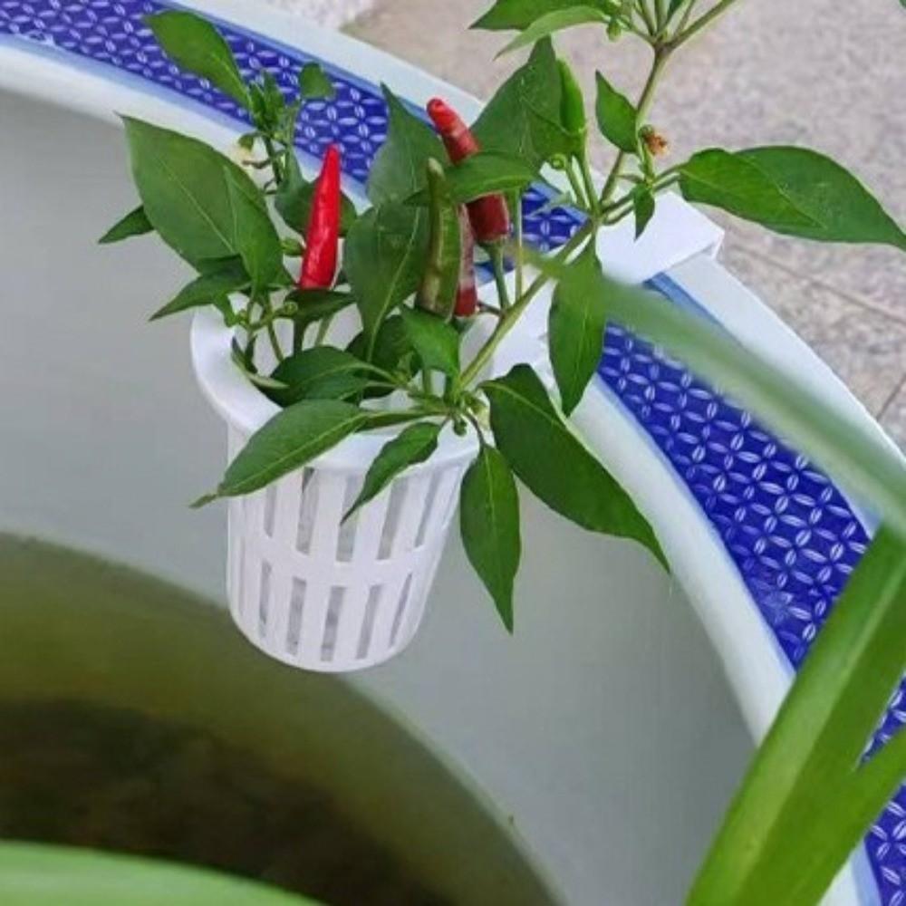 Wall-Mounted Aquarium Plant Basket Water Culture Planter Plastic Hydroponic Hanging Planter Self Watering Planter Containers