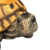 Turtle Planter Cute Animal Decor Plant Pot Garden Planter for Flowers Succulents Cactus Indoor Home Office Bedroom Living Room