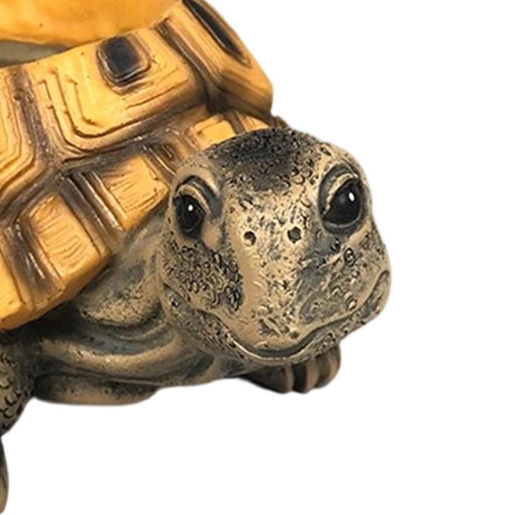 Turtle Planter Cute Animal Decor Plant Pot Garden Planter for Flowers Succulents Cactus Indoor Home Office Bedroom Living Room