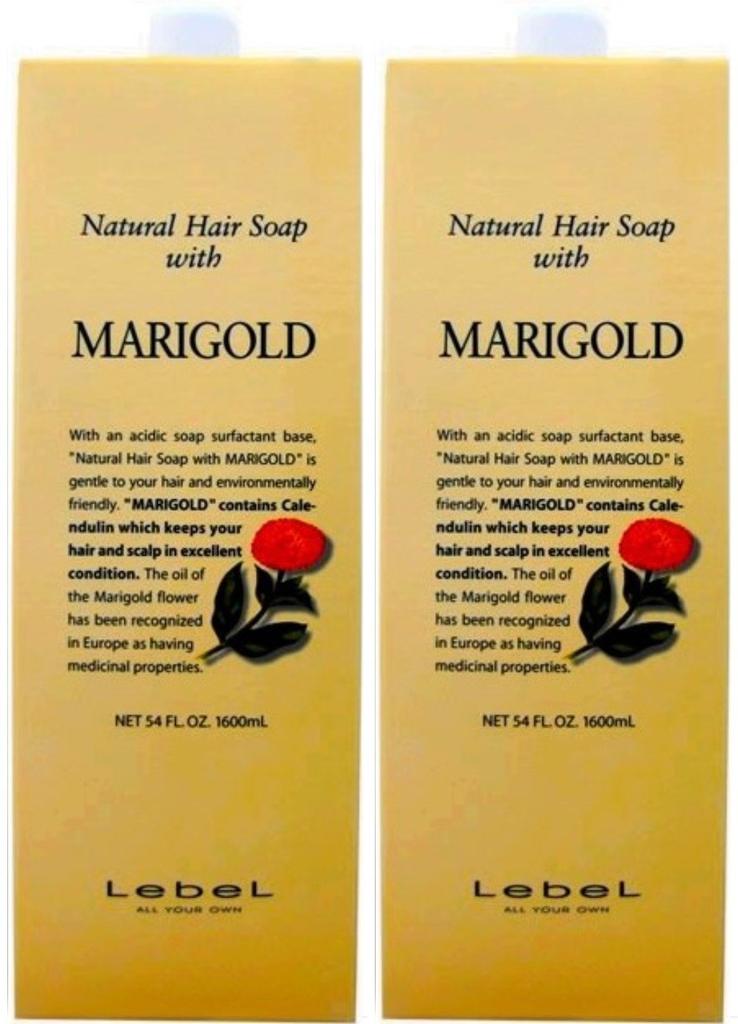 [Set] Lebel Cosmetics Natural Hair Soap with 1600mL MG (Set of 2)
