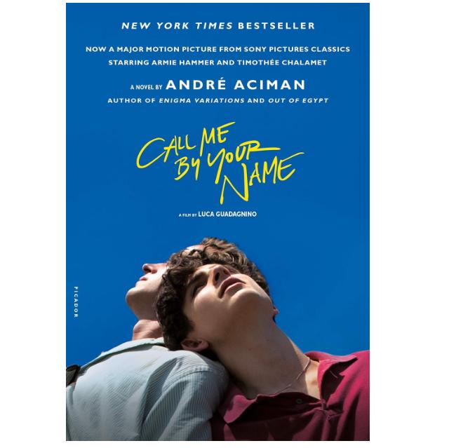 Call Me By Your Name Book Series 2 Books Collection Set By Andre Aciman (Call Me By Your Name: Andre Aciman, Find Me)