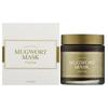 Mugwort Mask 110g / Moisturizing, Nourishing, Korean Cosmetics, Kbeauty