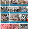 2026 Year of the Horse Building Blocks Toy - Assembled Doll & Ornament for Annual Meeting Gift