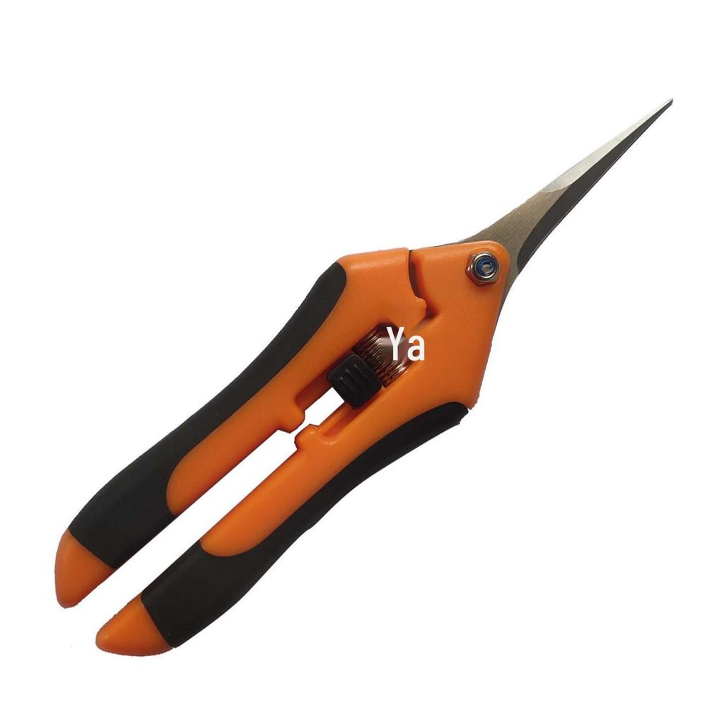 Stainless Steel Pruning Shears – Straight Head Elbow Flower, Fruit, and Vegetable Scissors.