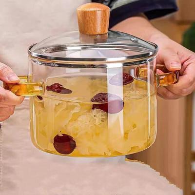 ZISIZ Double-Handle High Borosilicate Glass Pot Set