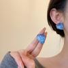 Silver Needle Irregular Resin Stud Earrings Korean Version of Simple Personality Earrings Fashion Simple Temperament Earrings Design Sense Niche