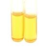 10 Bottles Greenway Fruit Fly Trap Natural Liquid Attractant Kid And Pet Safe