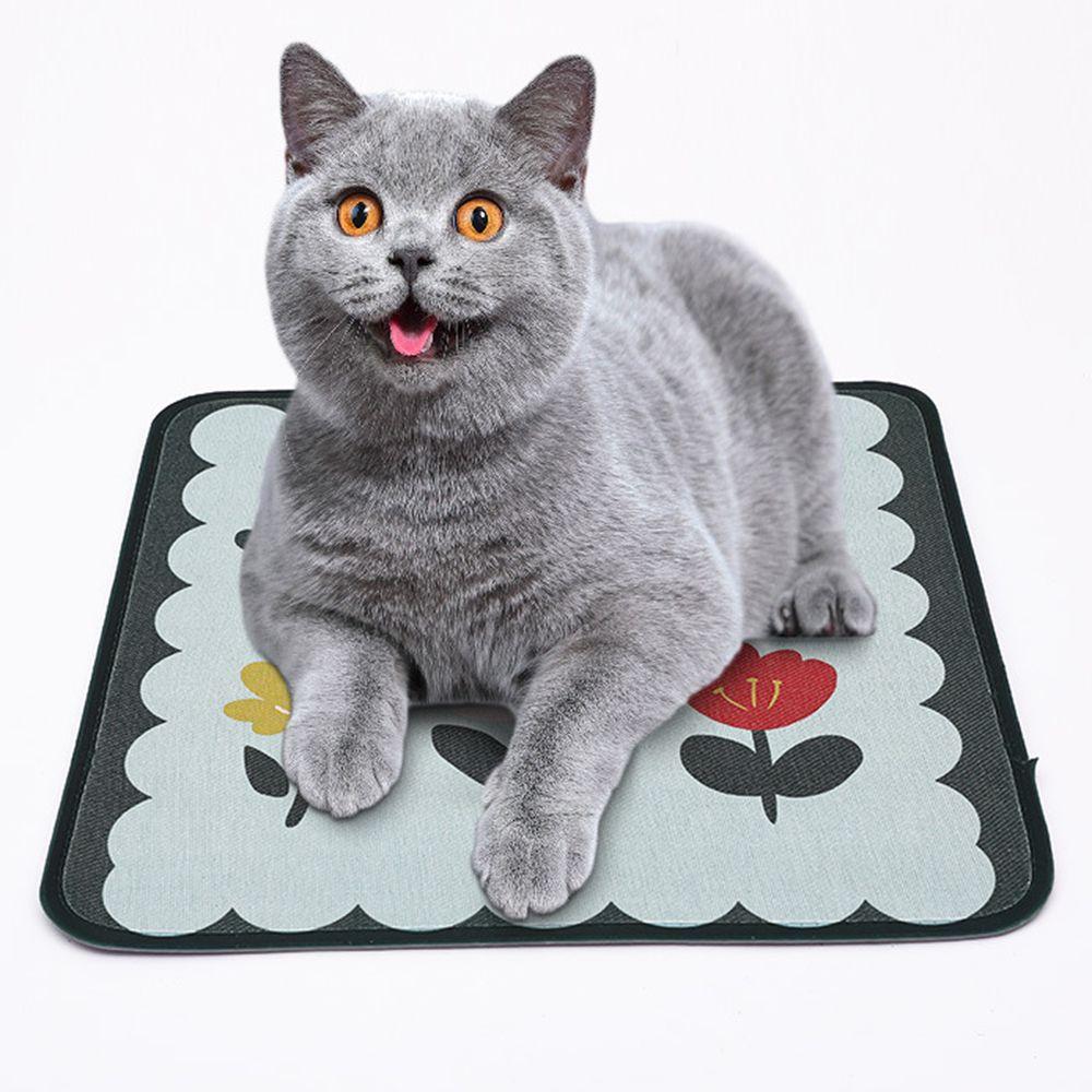 Square Shape Pet Ice Pad Cartoon Dog Cooling Mat Universal Pet Bed Pad  Spring