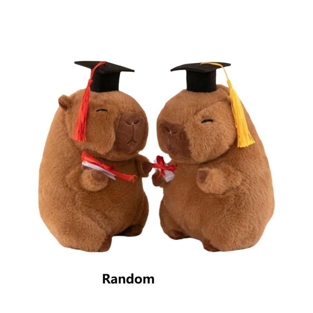 Cartoon Design Graduation Capybara Plush Toy 25 CM Doctor Hat Capybara Party Decor