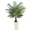 Artificial Areca Palm Tree 1524 Mm, Fake Palm Tropical Plants with White Tall Planter, Faux Floor Silk Plant In Pot, Large Trees for Home Office