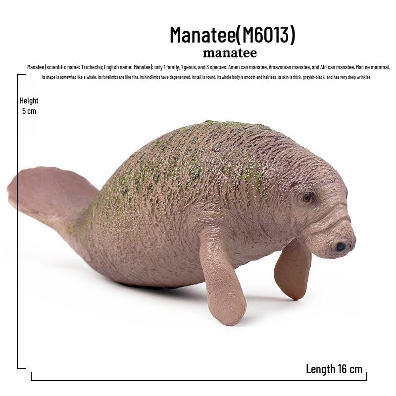 Marine Life Simulation Toy: Walrus, Manatee, Sea Lion Model for Children