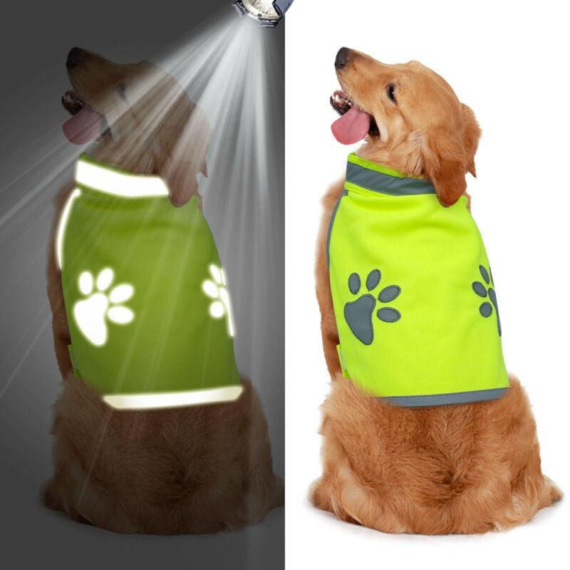 dog reflective gear
