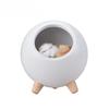1Pc Cute Pet House Night Light Usb Charging Bedside Desktop Ambient Light Children's Bedroom Led Bluetooth Speaker Desk Lamp
