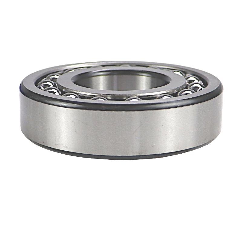 Self-aligning Ball Bearing 1309 ZVL