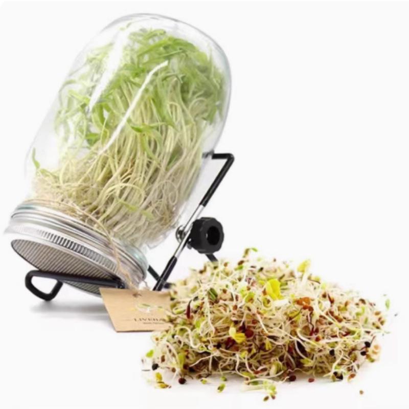 Sprout Jar for Bean Planting - Mason Glass Seedling Dispenser
