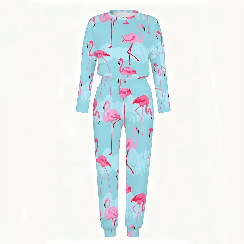 Ladies Loose Long Sleeve Top And Elastic Waist Pants Two Piece Cozy Daily Outfit Set