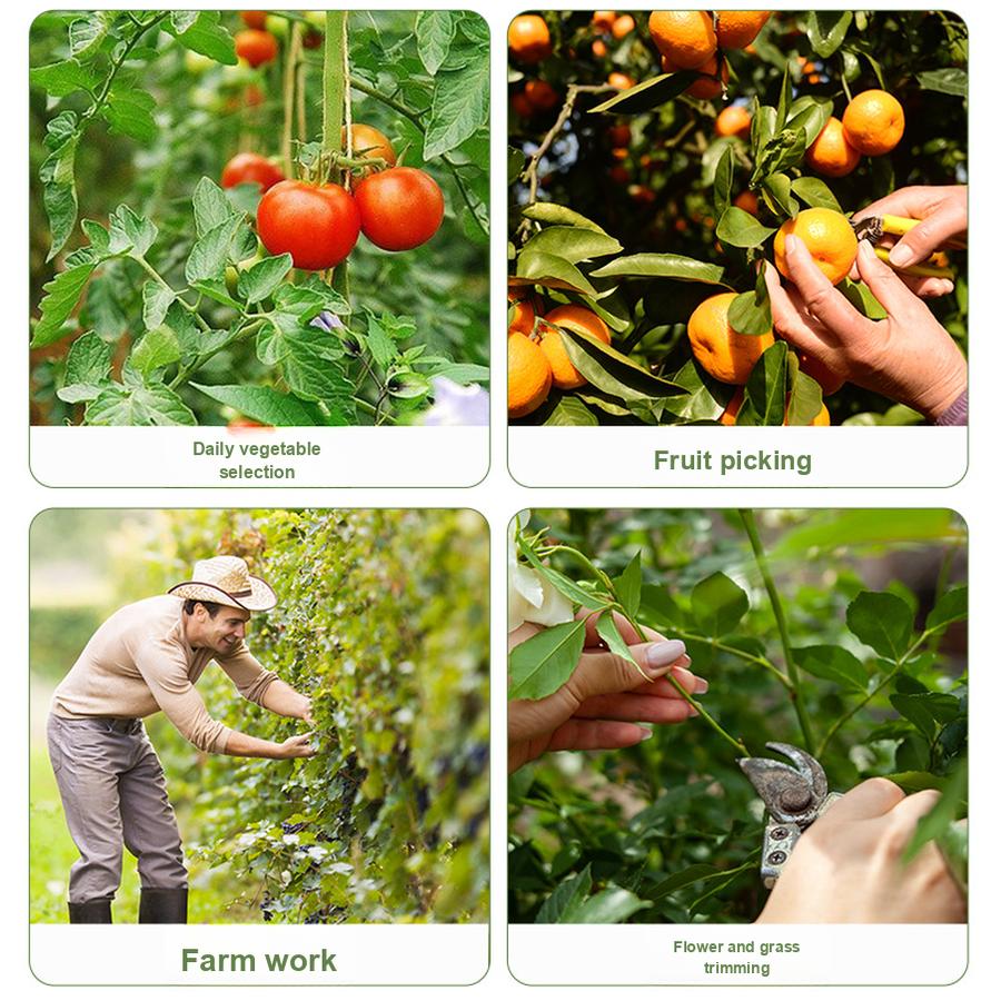 5 Stück Mini-Traubenschere, Daumenmesser, Pflücker, Gemüseclipper, Blattabschneider, Obstpflückwerkzeug