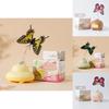 Cat Toy Teaser With Motorized Butterfly For Indoor Enrichment Exercise And