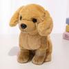 1Pc 22/30CM Simulation Husky Golden Retriever Beagle German Shepherd Dog Plush Toys Lovely Pet Dog Dolls Kids Birthday Gift