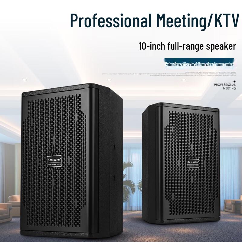 KAXISAIER A-Series 10-inch Passive HIFI Speaker