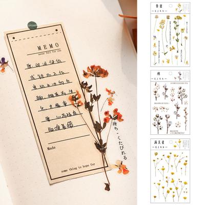 1 Packung PET-Aufkleber, Blumen, Blätter, für Album, Tagebuch, Scrapbooking, Zubehör, transparent, 12 Designs