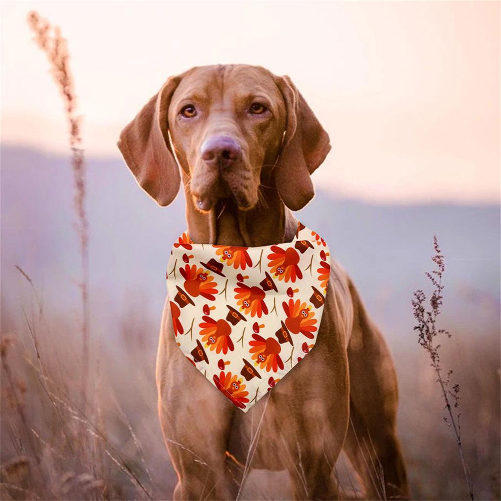 Pet Neck Kerchief for Male Female Dog and Cat for Small Medium Dog Bandana Pet Thanksgiving Costume