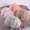 Cute Sweet Cartoon Rabbit Plush Handbag Fashion Macron Solid Color Women's Shoulder Bag Electroplated Hardware Hasp Gold Chain Ladies Crossbody Bags