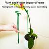 10PCS Gardening Bonsai Phalaenopsis Bracket Phalaenopsis Support Rod Plant Potted Flower Protection Frame Fixed