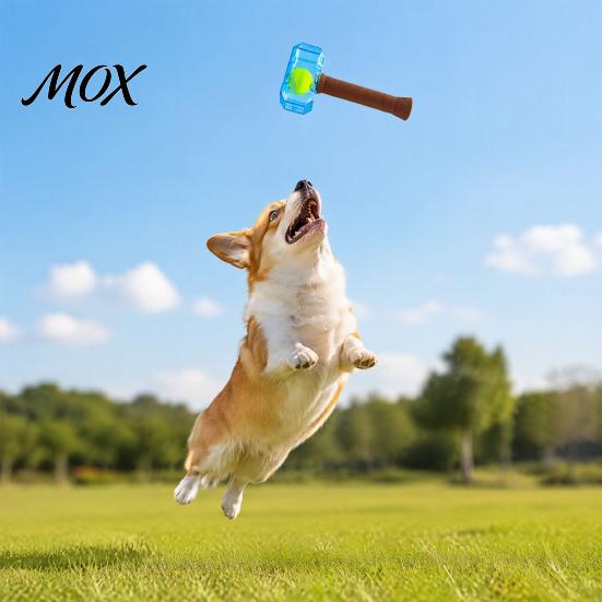 Safe Dog Toys for Training And Exercise Squeaky Hammer Toy, Tennis Ball In Bottle Durable Fetch Active Pups Chew Interactive Toy Aggressive