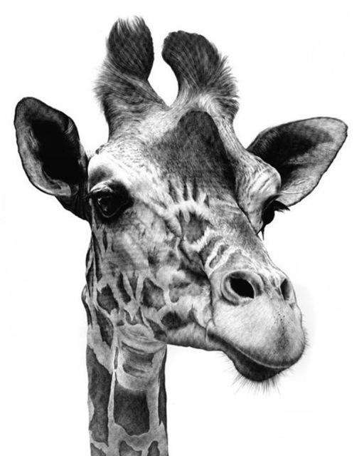 5D DIY Diamantmalerei Voll Quadrat Schwarz Weiß Tiere Diamantstickerei Löwe Tiger Mosaikbild aus Strass Dekor Geschenk