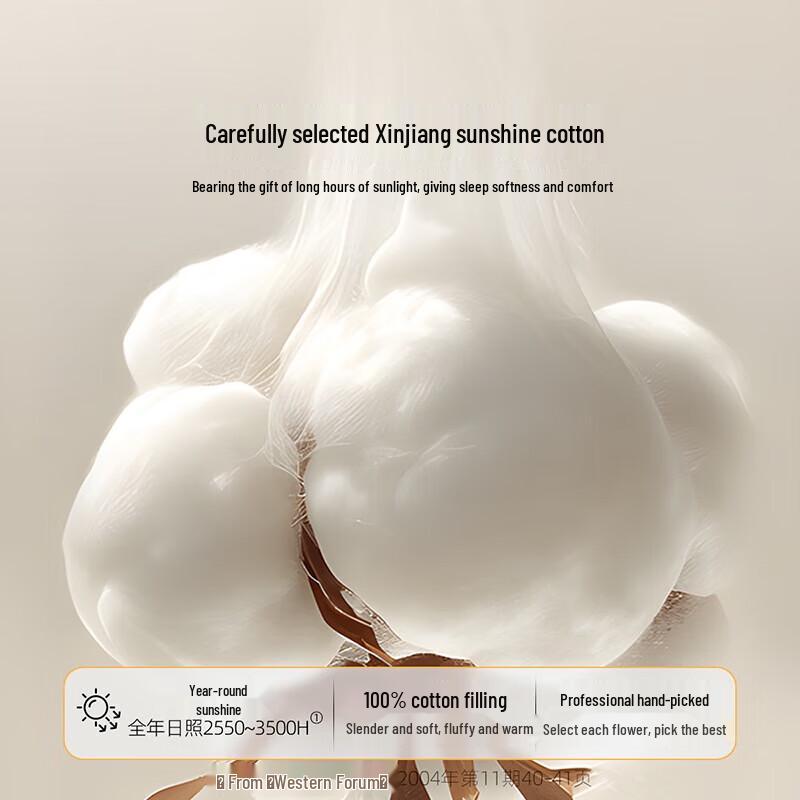 Mengjie Home Textiles Cloud Soft Knit Xinjiang Cotton Quilt