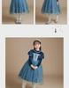 Elsa Princess Velvet Winter Dress for Girls - Thickened Skirt
