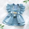 Puppy Dog Shirt Strap Skirt Set Teddy Pomeranian Small and Medium Dogs Universal Princess Style Dress Pet Clothes