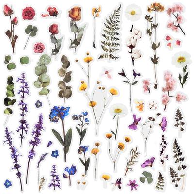 12 Sheets of Flower Scrapbook Decorative Featured Plant Clear PET for Photo and DIY Crafts Stickers, Stickers, Stickers, Stickers, Material,