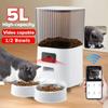 Automatischer Futterspender für Katzen, 5 l, WLAN, mit Kamera, HD, intelligenter interaktiver Tiernahrungsspender, Timer, Edelstahlnapf, automatischer Hundefutterspender